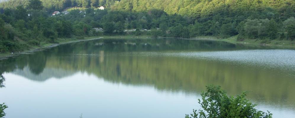 
            Фотография Волковки