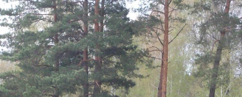 
            Фотография Хилково