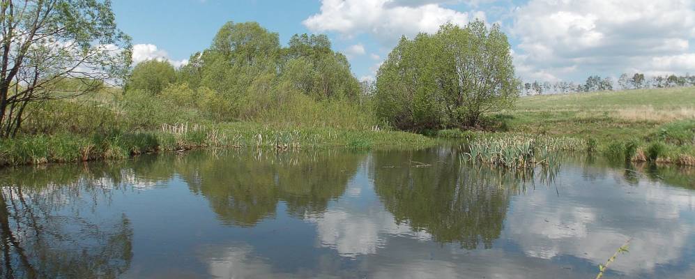 
            Фотография Кузьминки