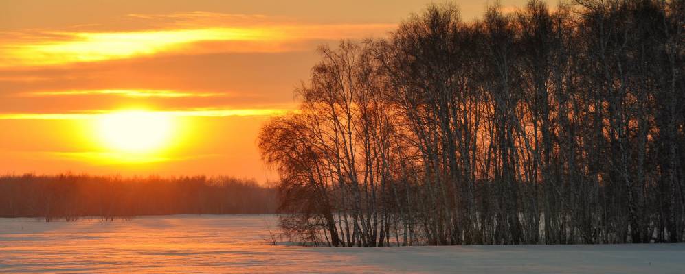 
            Фотография Остановочного Пункта 2771-го километра