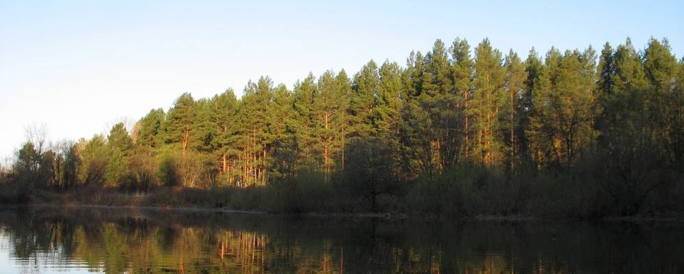 
            Фотография Лесной Пристани