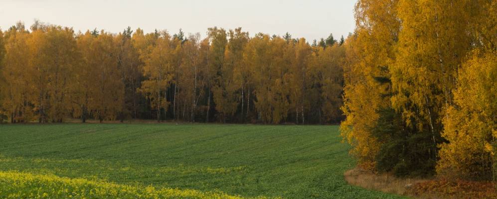 Фотография агрогородка Ерхи