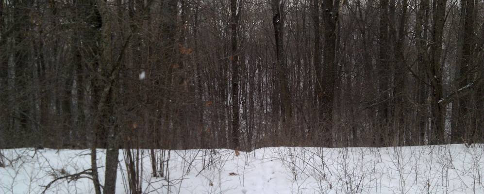 Фотография Липовца