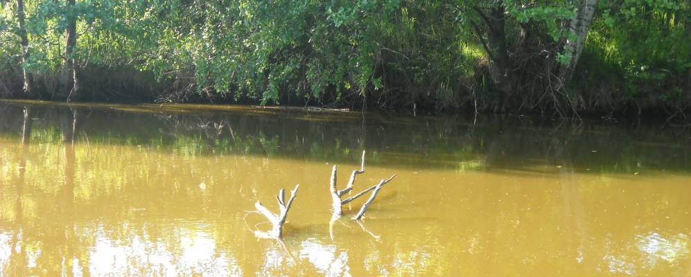 Фотография Черниковщины