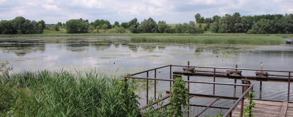 
            Фотография Однолькова