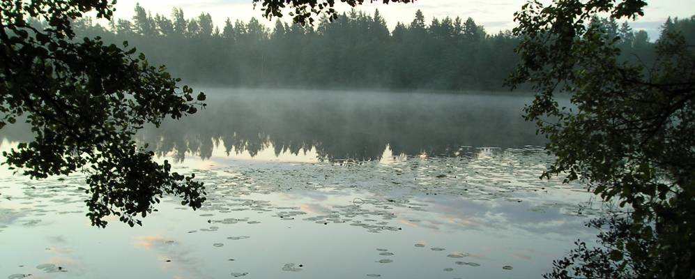 
            Фотография Спасс-Балаздыни