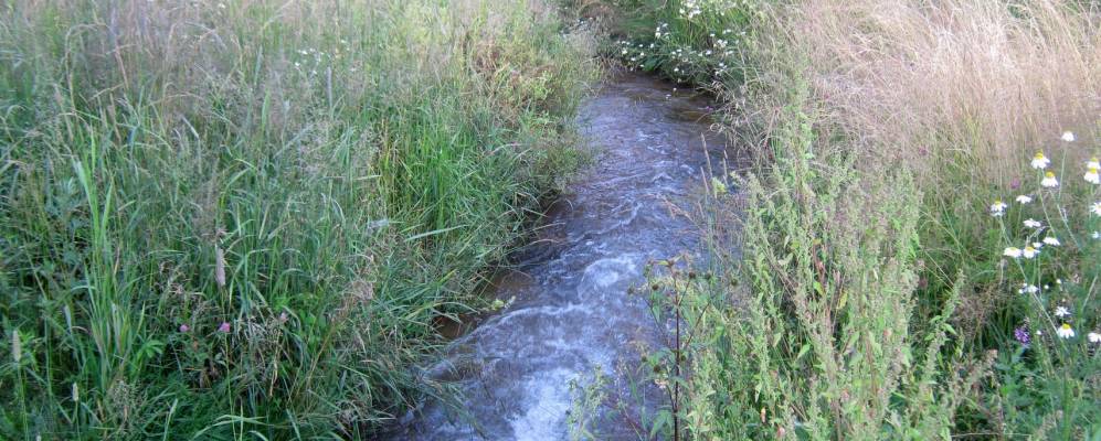 Фотография Быково