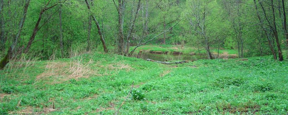 
            Фотография Шатеши