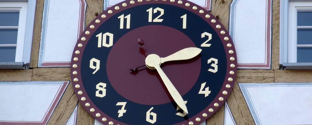 
            Фотография Леонберга