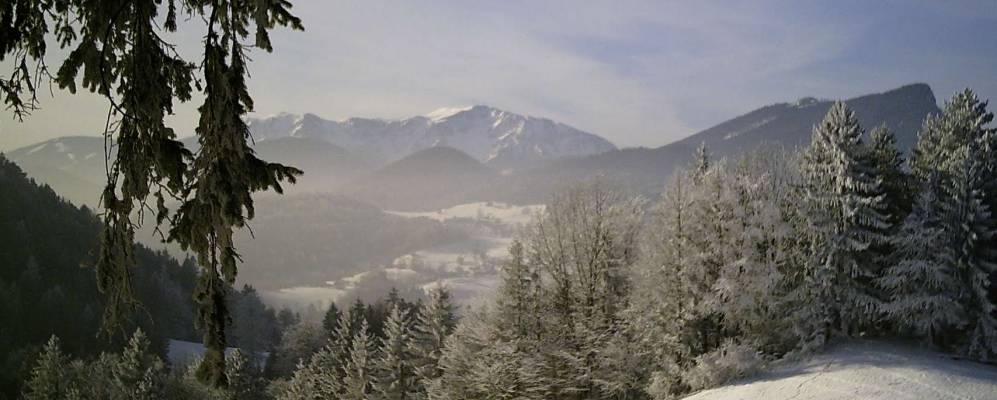 
            Фотография Мизенбаха 