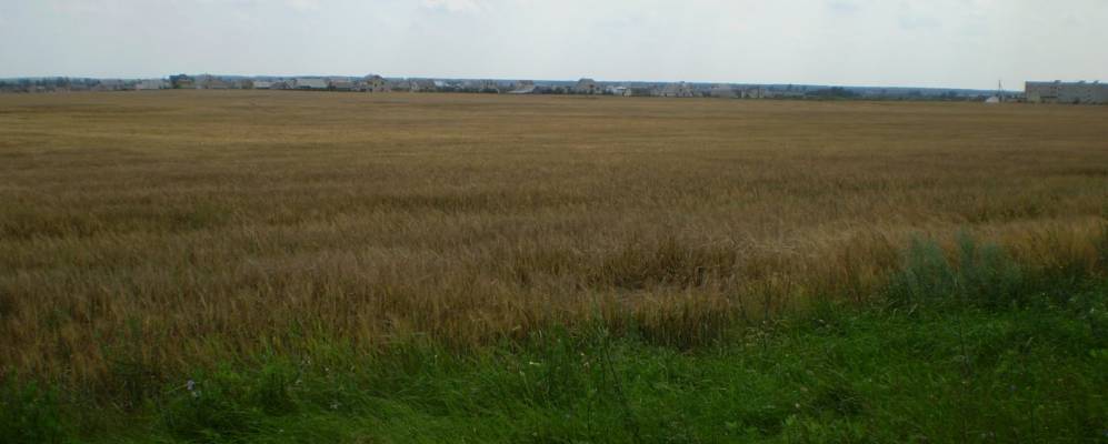 
            Фотография деревни Рожки 1-е