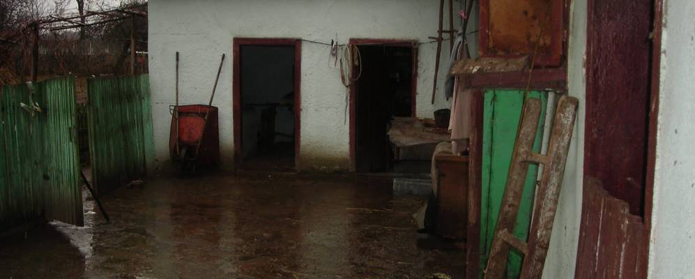 
            Фотография Мазуры