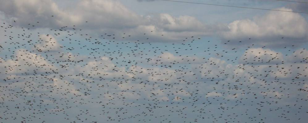 
            Фотография Ольгино