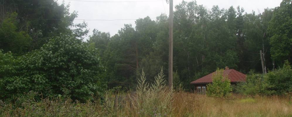 
            Фотография Свестура