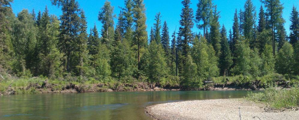 
            Фотография Соузара