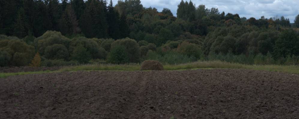 Фотография Васильевки