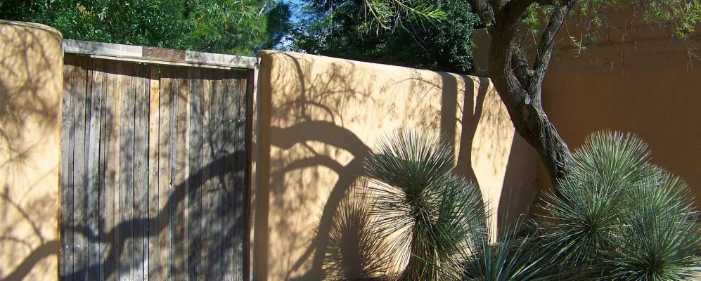 
            Фотография Мезиллы