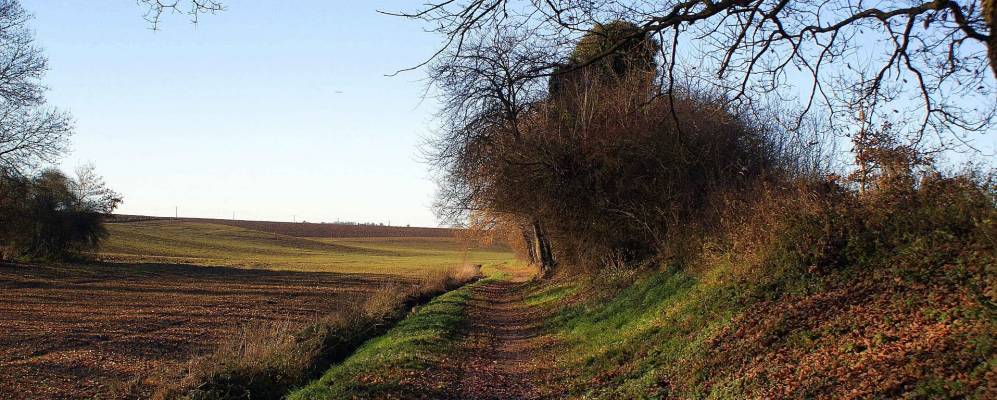 
            Фотография Пюизё-ан-Франса