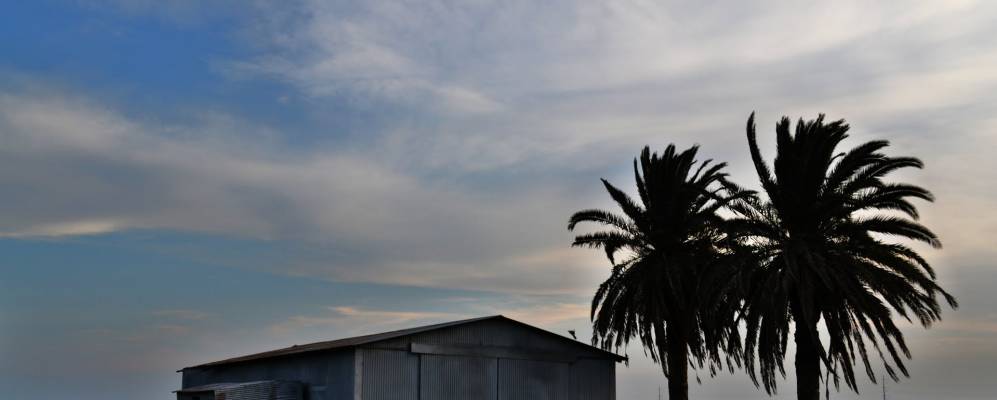 
            Фотография Одема