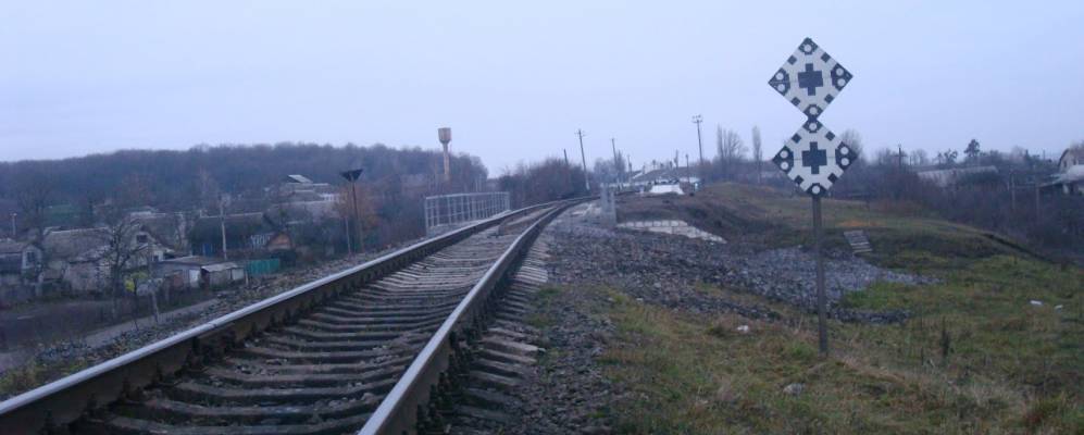 
            Фотография Щиборовки