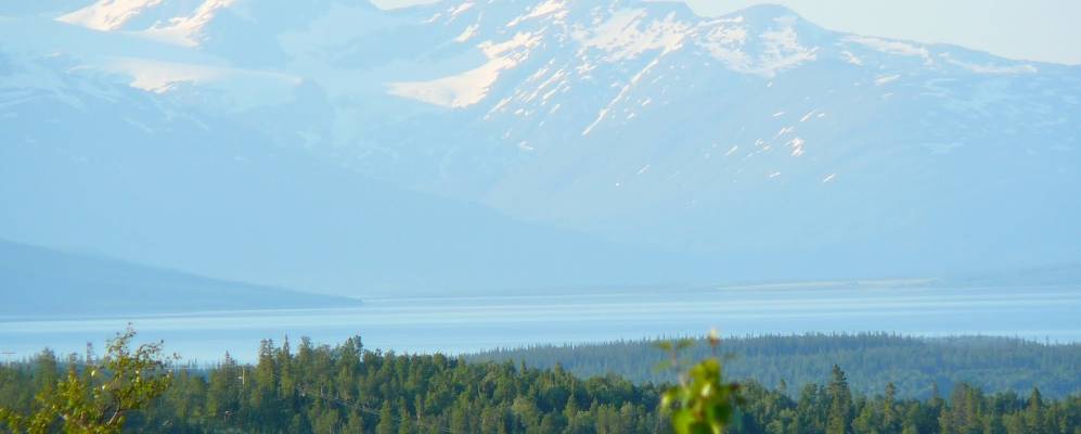
            Фотография Варнтреска