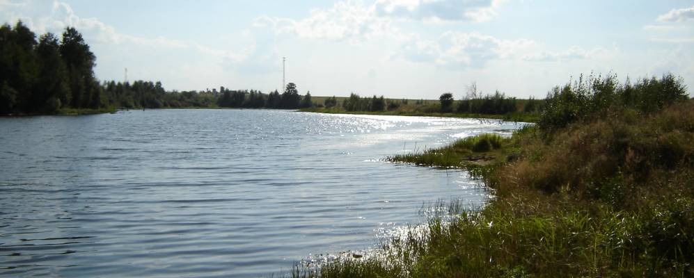 
            Фотография Московкино