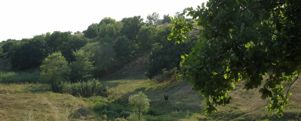 
            Фотография Энгельсово