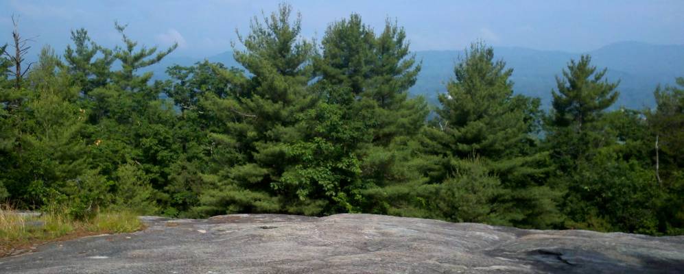 
            Фотография Лаурел Парка