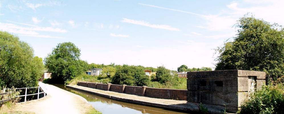 
            Фотография Тамуорта