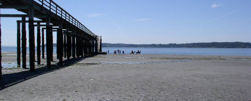 
            Фотография Индианолы