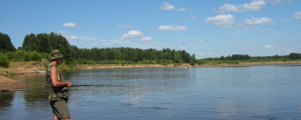 
            Фотография Рычажного