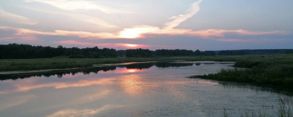 
            Фотография Калины