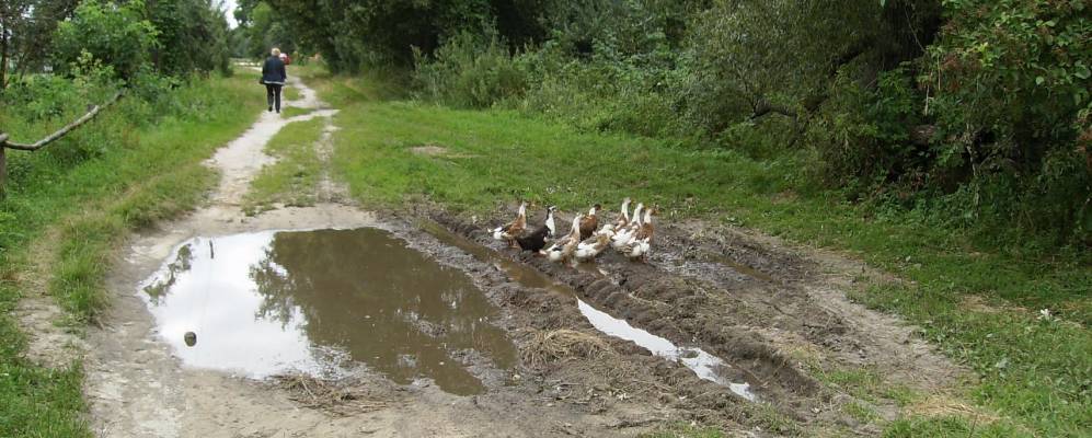 
            Фотография Турии