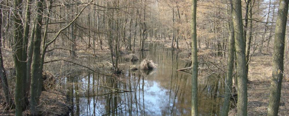 
            Фотография Штановки