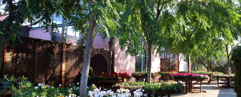 
            Фотография Корнелья де Льобрегата