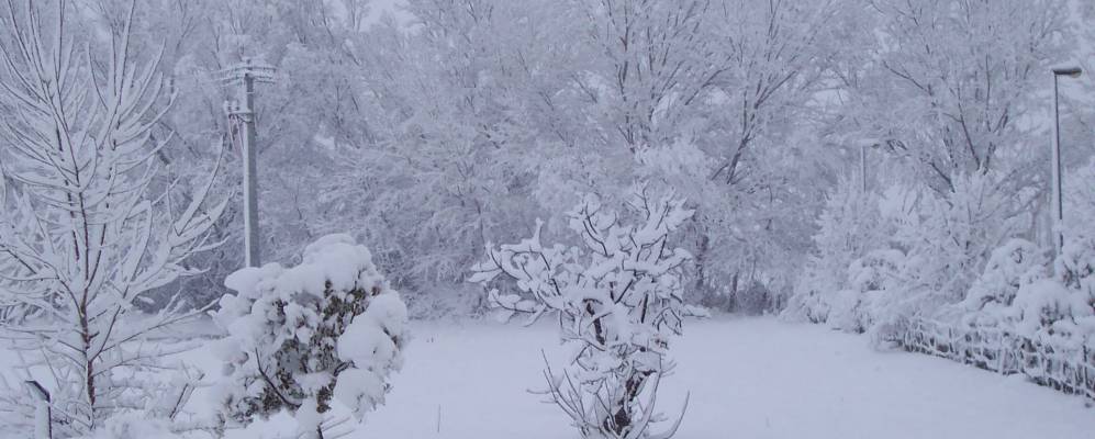 
            Фотография Ренде