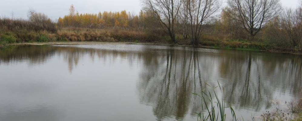 
            Фотография Кочкорово