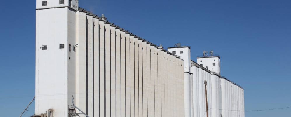 
            Фотография Бовины