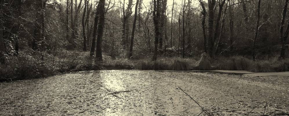 
            Фотография Кабанак-э-Вилагрена