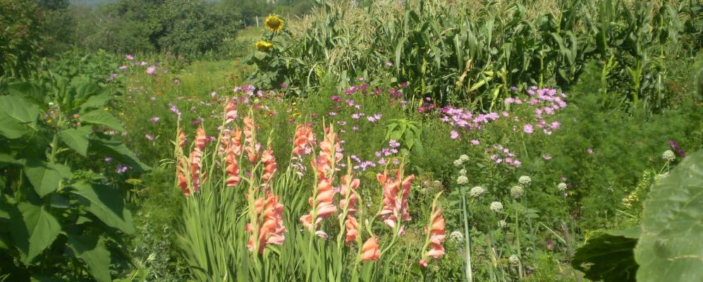 
            Фотография Пятничан