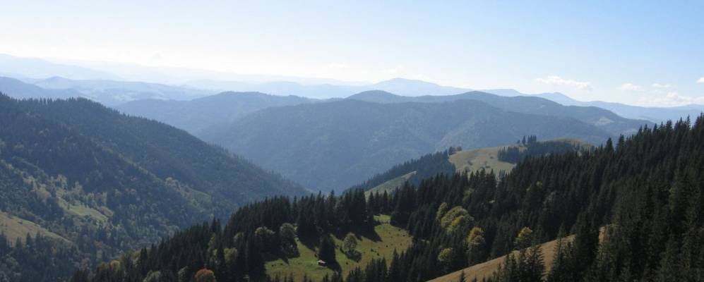 
            Фотография Черетова