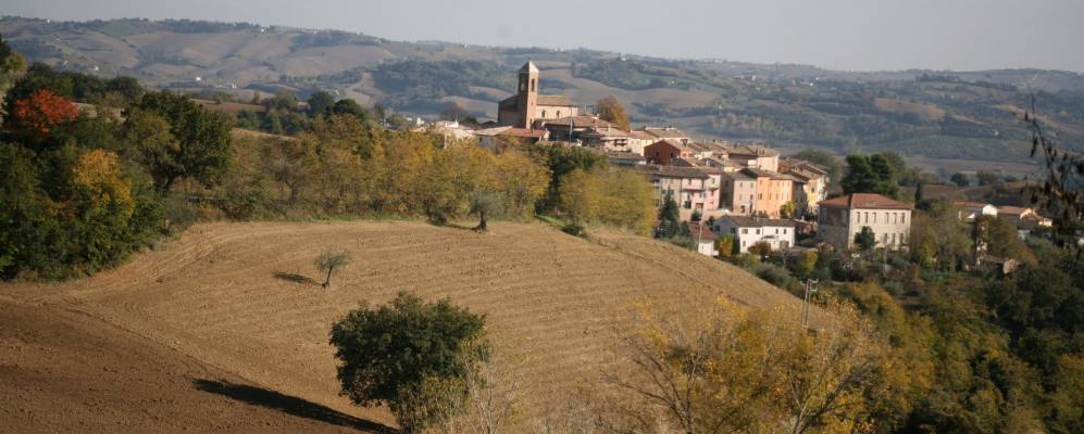 
            Фотография Серрунгарины