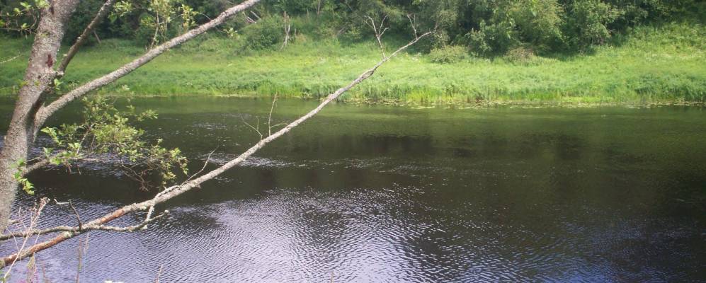 
            Фотография Стрецово