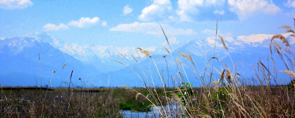 Фотография Рамоново