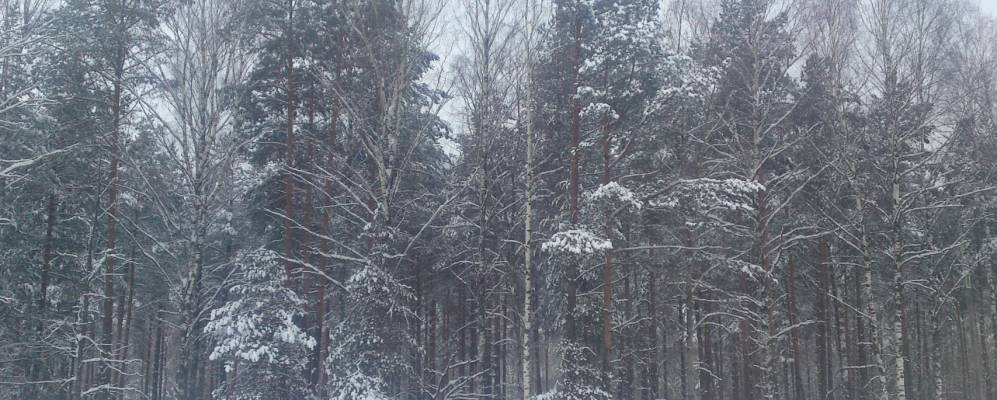 
            Фотография Хорошово