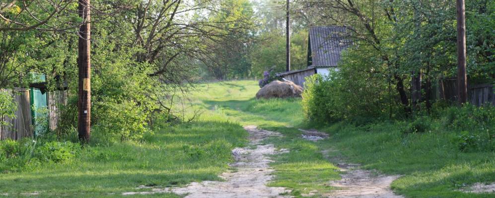 
            Фотография Бабарики