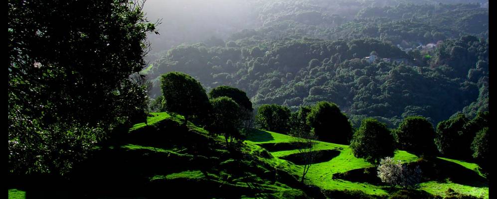 
            Фотография Сарола-Каркопино