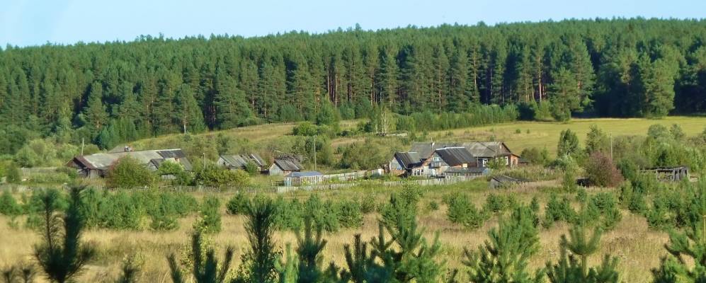 
            Фотография Полуденки