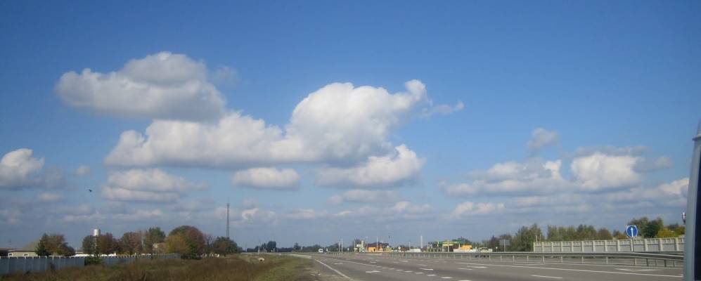 Фотография Белки