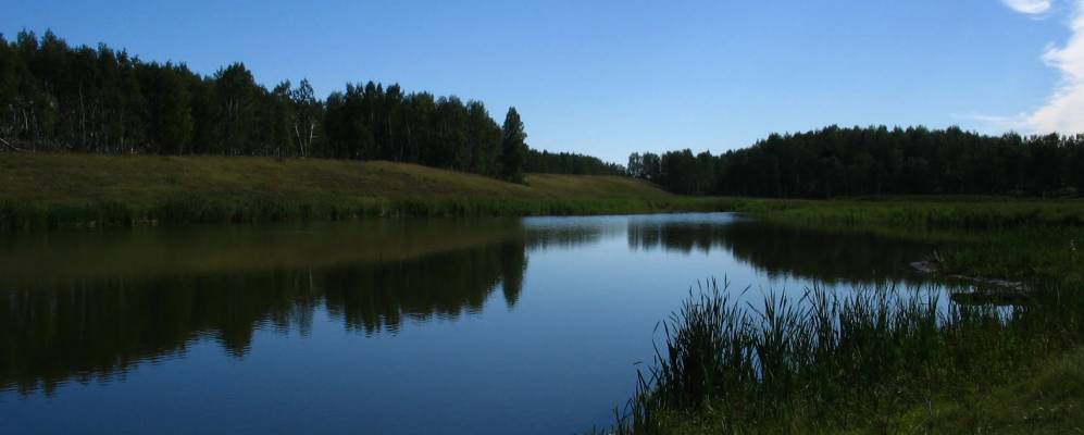 Фотография Пустынного